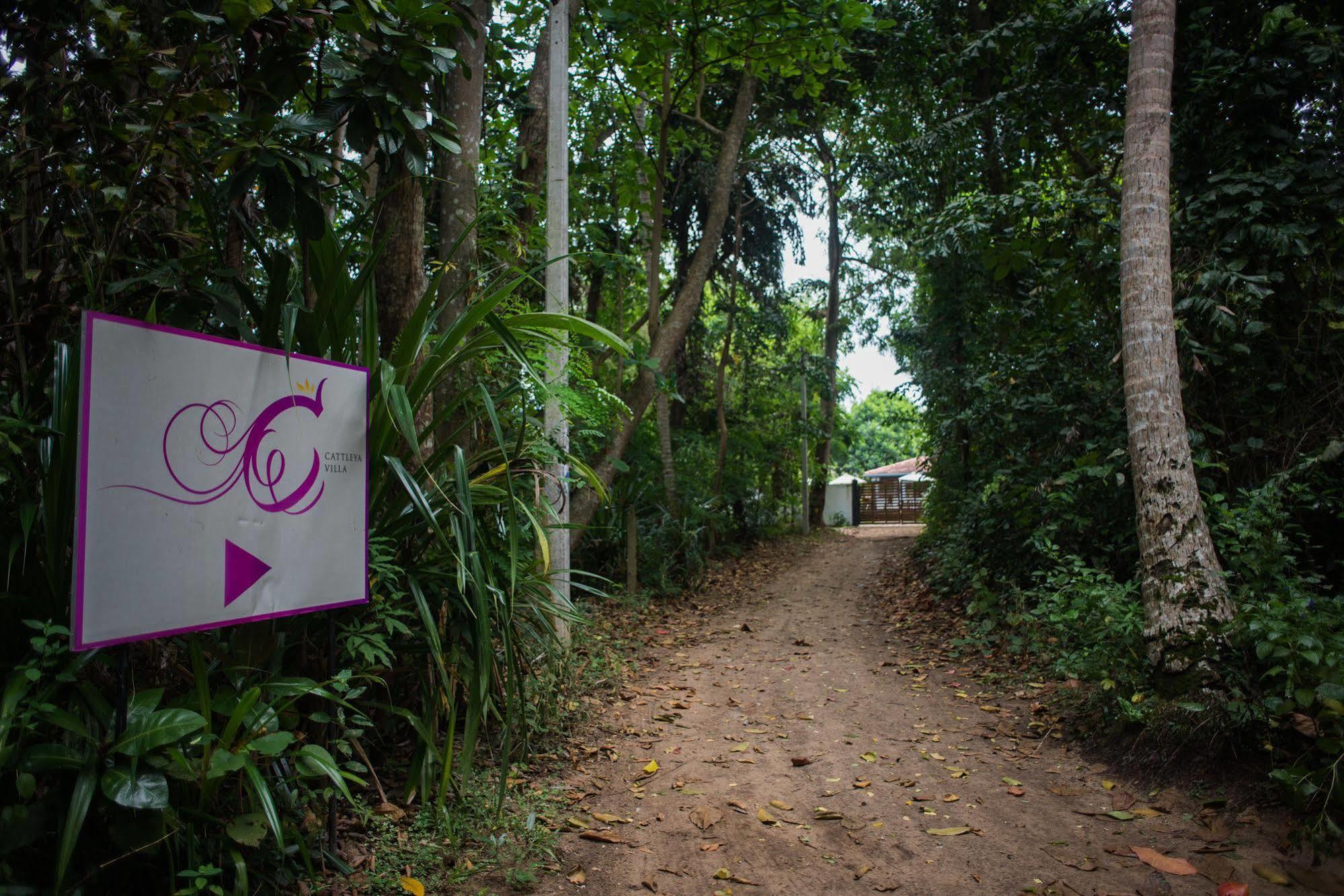 Cattleya Villa Hikkaduwa Bagian luar foto