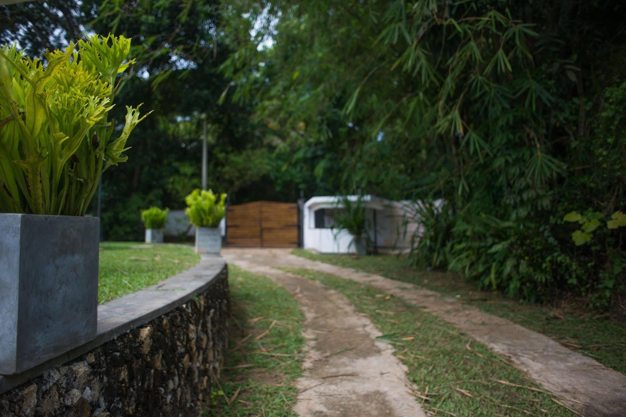 Cattleya Villa Hikkaduwa Bagian luar foto